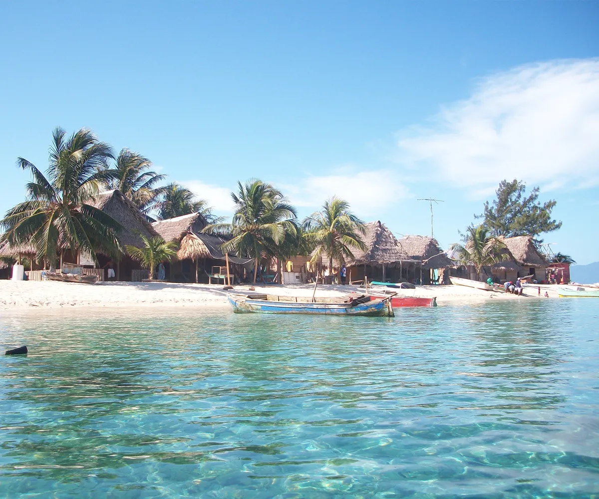 Conservación marina