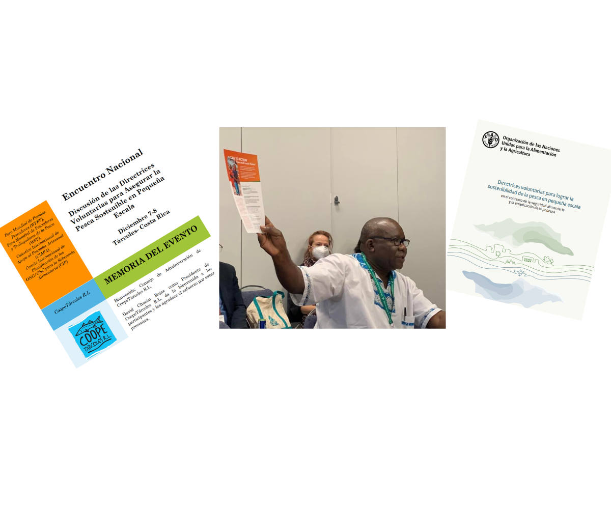 Apoyo a la implementación global de las Directrices PPE